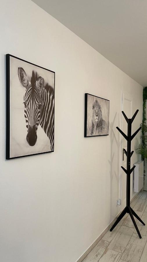 Tous'O'Zoo, Au Coeur Du Centre-Ville 상테뇽 외부 사진