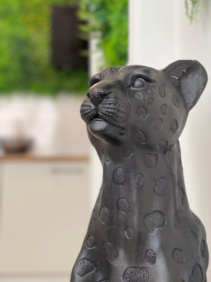 Tous'O'Zoo, Au Coeur Du Centre-Ville 상테뇽 외부 사진