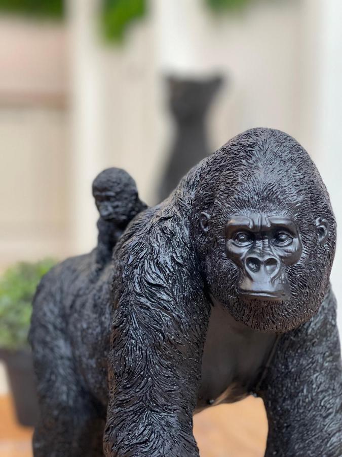 Tous'O'Zoo, Au Coeur Du Centre-Ville 상테뇽 외부 사진