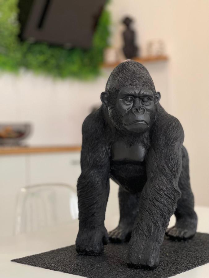 Tous'O'Zoo, Au Coeur Du Centre-Ville 상테뇽 외부 사진